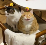 1780340918003.png