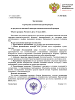 Заключение о сэс сми.png