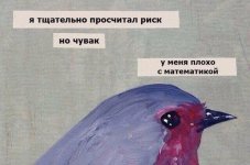 123.jpg