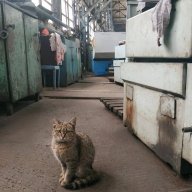 Ильюха Невский