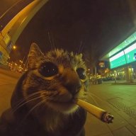 smokie