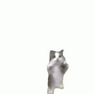 Freakki