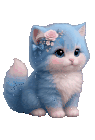 قطه-كيوت-kitten.gif